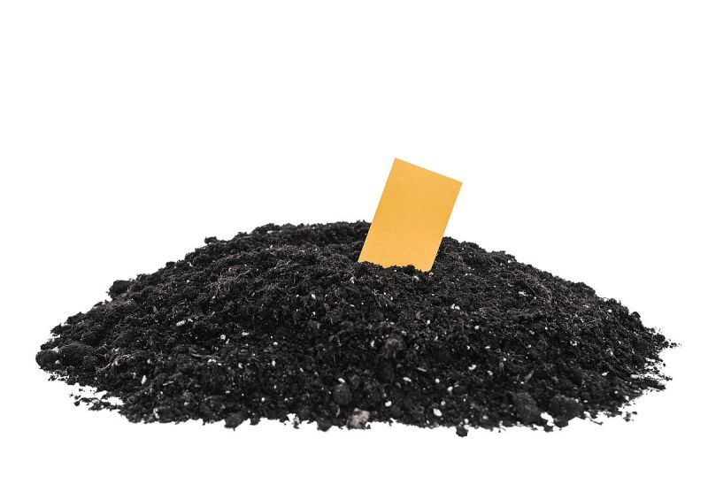 椰殼炭可以食用嗎-圖1 椰殼炭可以食用嗎-圖1