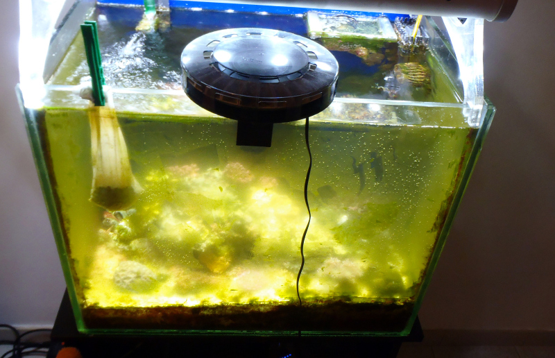 椰殼炭魚缸過濾-圖1 椰殼炭魚缸過濾-圖1