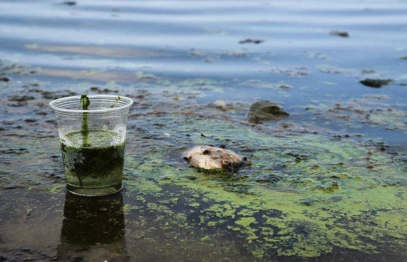 污水處理活性炭廠家介紹，水處理濾料有哪些？