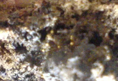 黃金提煉專用炭，黃金這樣提煉出來的，椰殼炭起了大作用(圖2)